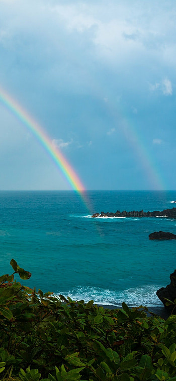 Earth's rainbow, Natural wonder, Color spectrum, Vibrant phenomenon HD phone wallpaper