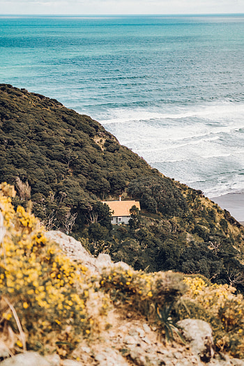 Nature, Sea, View From Above, Coast, Forest, House, Hill HD phone wallpaper