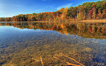 Nature, Water, Trees, Sky, Autumn, Transparent, Branches, Brightly, Clear, I See, Bottom HD wallpaper