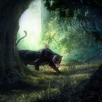 Art, Grin, Predator, Big Cat, Panther HD phone wallpaper