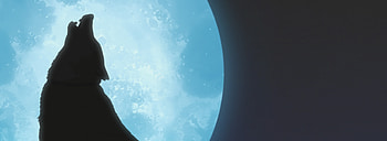 Wolf's Rain, Anime HD wallpaper