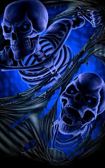 Skull, art, organism HD phone wallpaper