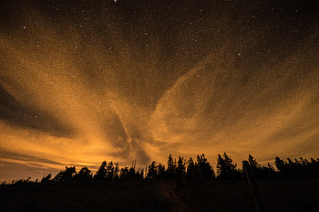 Stars, Nature, Trees, Night, Clouds, Dark, Shine, Starry Sky, Brilliance HD wallpaper