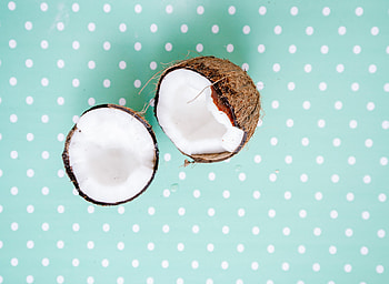 Food, Pattern, Point, Points, Nut, Exotic, Coconut HD wallpaper