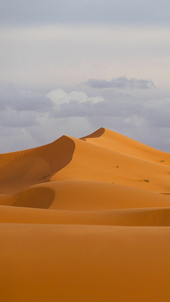Sahara desert , Mesmerizing views, Desert sunsets, Endless beauty HD phone wallpaper