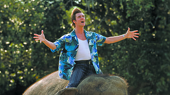 Ace Ventura, Nature calls movie, Fanart HD wallpaper