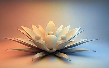 Abstract, Flower, Shine, Light, Petals, Surface, Water Lily HD wallpaper