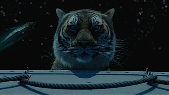 Life of Pi, Exquisite movie, Captivating , Adventure on the sea HD wallpaper