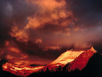 sad,horror, sky, nature HD wallpaper