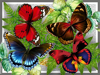 BUTTERFLY COLLAGE, ART, BUTTERLY, COLLAGE, ABSTRACT HD wallpaper