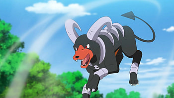 Anime, Houndoom HD wallpaper