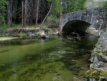 Green river, nature, rivers HD wallpaper