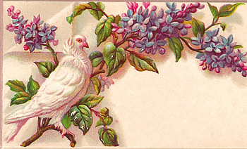 Victorian Calling Card ~ Wisteria and Dove, Antique, Wisteria, Victorian, Card, Dove, Purple HD wallpaper