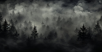 Mystic Forest Mist, dark, forest HD wallpaper