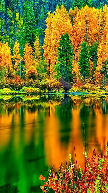 Nature/Landscape Autumn Lake 6 Plus - autumn lake, 6 Plus - autumn: You should have these 6 Plus ... HD phone wallpaper