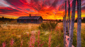 Old School House on the Prairie, prairie, schoolhouse, house, Firefox Persona theme, sunrise, field, bright, sky, vintage, sunset HD wallpaper