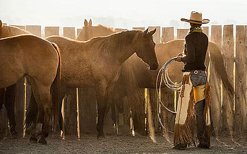 Early Work . ., style, Taylor Teichert, cowgirl, fun, horses, ranch, outdoors, corral, western, female, hats, brunettes, chaps, models, girls, women, boots HD wallpaper