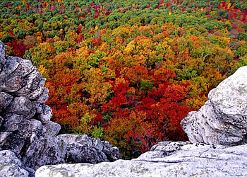 Backgrounds, Rocks, Trees HD wallpaper