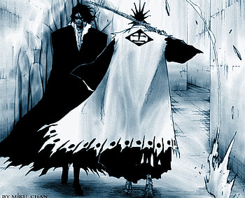 zangetsu, zaraki kenpachi, bleach, anime HD wallpaper