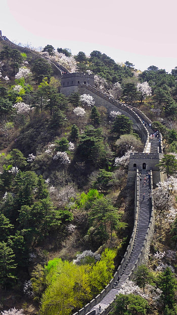 High-quality , Great Wall exploration, Captivating backgrounds, 2021 collection HD phone wallpaper