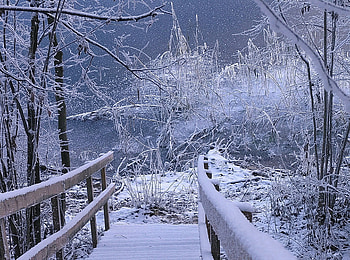 Winter, bridge, nature, snow HD wallpaper