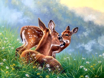 little deer, natur, deers, deer, animals HD wallpaper