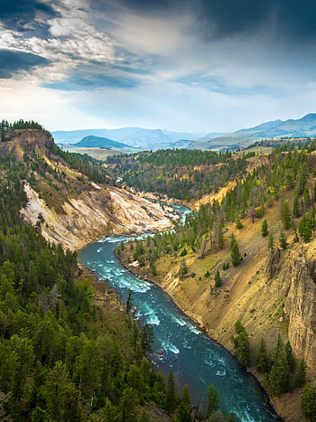 Yellowstone National Park, USA's natural wonder, Stunning river canyon, Cliffside landscape HD phone wallpaper