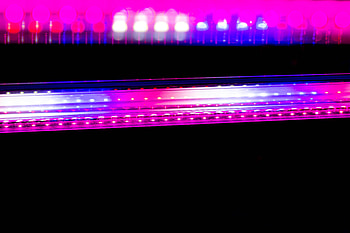 Abstract, Dark, Blur, Smooth, Neon, Illumination, Backlight HD wallpaper