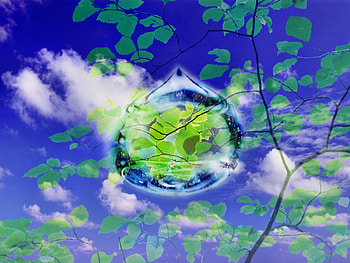 Backgrounds Windows 7 Drop .jpg, clouds, sky, waterdrop, tree HD wallpaper