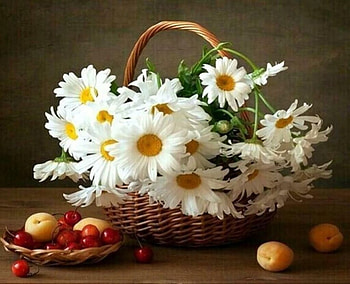 White daisies in a basket, White, Flowers, Fruits, Basket HD wallpaper