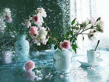 still life, pink, flowers, tea, rain HD wallpaper