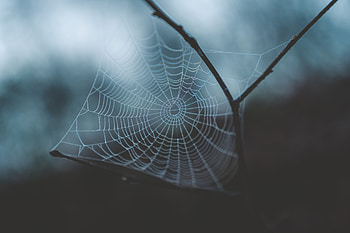 Web, Drops, Macro, Blur, Smooth, Dew, Braiding, Weaving HD wallpaper