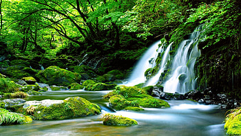 Waterfall beauty, Green oasis, Moss-covered rocks, Majestic HD wallpaper
