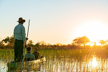 Okavango Delta, Travels, Safari tours, Authentic African experience HD wallpaper