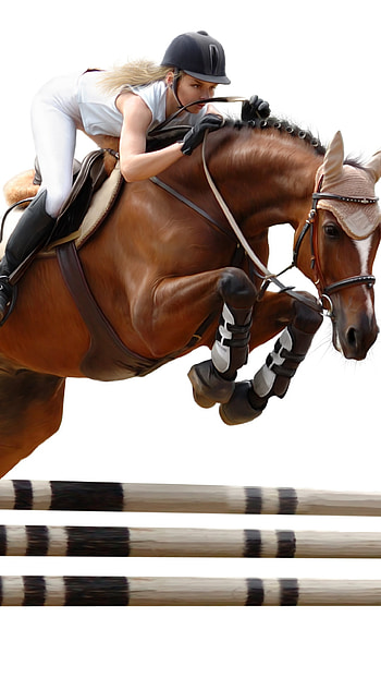 Sports show jumping, Equestrian event, Horse and rider, Graceful leap HD phone wallpaper