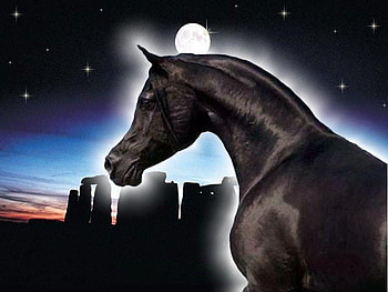 magic horse, horse, black, city background, animals HD wallpaper