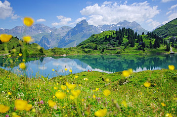 Landscape with mountain and lake, lakeshore, peaks, relax, serenity, tranquil, reflection, mirror, landscape, beautiful, rocks, lake, mountain, rest, view, clouds, sky, flowers, calmness HD wallpaper