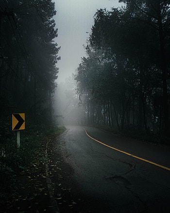 Nature, Trees, Road, Fog, Darkness HD phone wallpaper