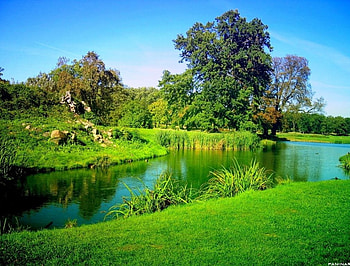 Green garden, gardens, forests HD wallpaper