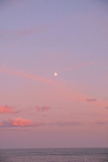 Tranquil sunset over the ocean with a pink sky and visible moon, capturing a serene summer evening. HD phone wallpaper