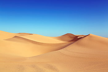 Expansive sand dunes under a bright blue sky, capturing the serene beauty of the desert. HD wallpaper