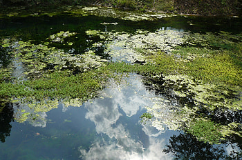 Blue Springs Reflection, blue, sky, nature, water HD wallpaper