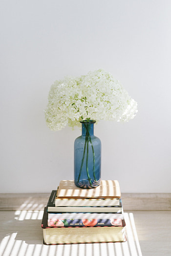 Flowers, Books, Vase, Hydrangea HD phone wallpaper
