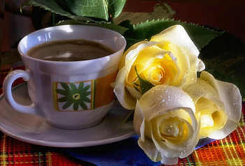 Some yellow roses in sunlight, rain, roses, drops, colors, cup, still life, light, yellow, coffee, nature, flowers, saucer, sun HD wallpaper