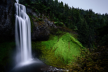Nature, Trees, Waterfall, Moss, Elevation HD wallpaper