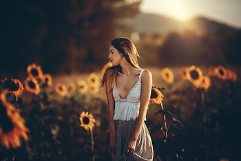 Girl Sunflower Field , girls, model HD wallpaper