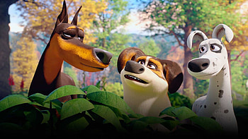 Dog Gone Trouble, dog, bush, trouble, gone HD wallpaper