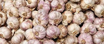 Stunning garlic , Aromatic herb, Culinary ingredient, Food graphy HD wallpaper