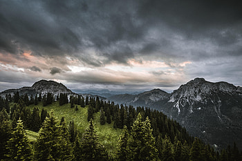 Nature, Trees, Sky, Mountains, Forest HD wallpaper
