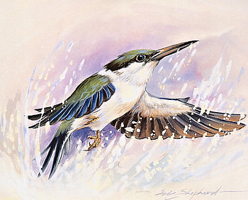 Bird, oil painting, beautiful, painting HD wallpaper